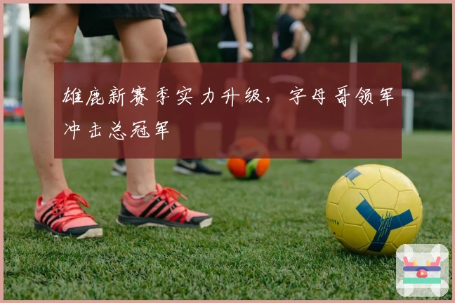 雄鹿新赛季实力升级,字母哥领军冲击总冠军